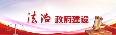 法治政府建設(shè)
