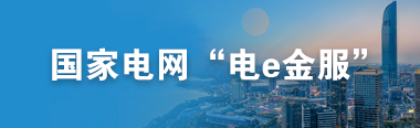 國(guó)家電網(wǎng)“電e金服”