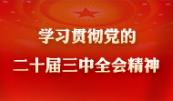 學(xué)習(xí)貫徹黨的二十屆三中全會(huì)精神