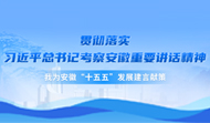 “十五五”發(fā)展建言獻(xiàn)策