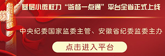 基層小微權(quán)力“監(jiān)督一點(diǎn)通”平臺(tái)
